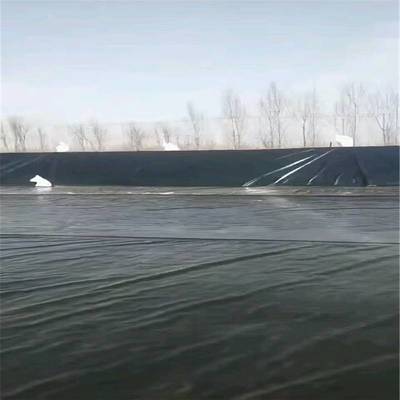 土工膜在蝦池建設(shè)中的應(yīng)用與價(jià)格分析