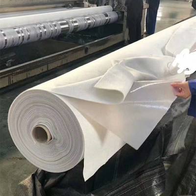 復(fù)合土工膜 現(xiàn)代工程中的多功能防護(hù)屏障