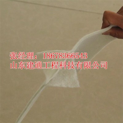 山東建通兩布一膜復(fù)合土工膜 汕頭地區(qū)價格、廠家與產(chǎn)品解析